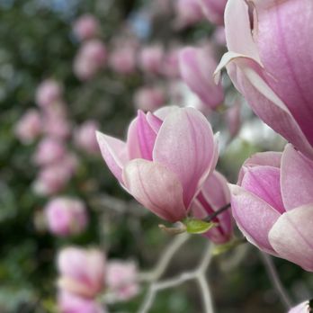 Gamble Garden - Venues & Event Spaces Near Me - Palo Alto, California