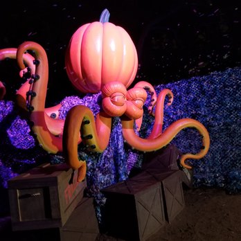 Pumpkin Nights - The kraken in the Pirate theme. - Festivals Near Me - Pomona, California