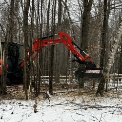 North East Tree Service - Mulching in between trees to improve growth of desired trees