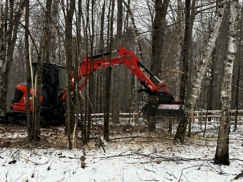 North East Tree Service - tree service in Newport, VT