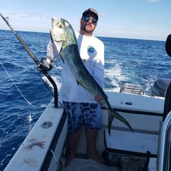 AA Fishing Charter Aquaholics Aknotymous - Hungry & skinny Mahi Mahi