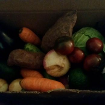 Hungry Harvest - Our harvest from mid November! Great variety and very easy to use. - CSA Near Me - Baltimore, Maryland