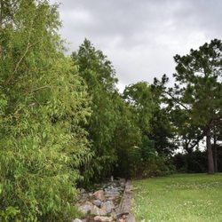 Audubon Riverview
