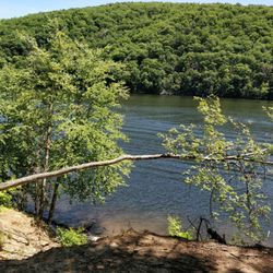 Paugussett State Forest - View of Zoar Lake