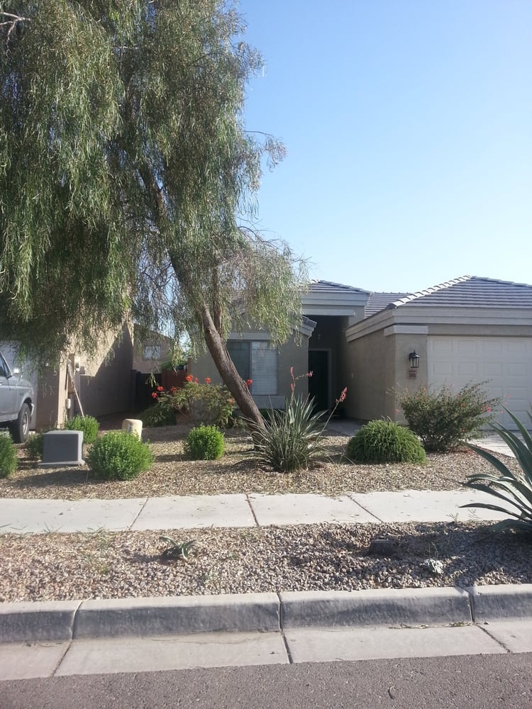 DESERT DISCOUNT TREE CARE & REMOVAL Updated August 2024 2538 N 13th