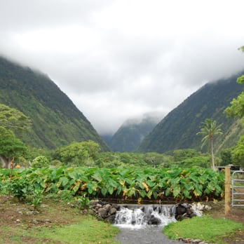 Waipi'o Valley - Beaches Near Me