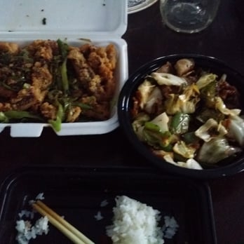 Dumpling House - Should be called cabbage house - Noodles Near Me - Cambridge, Massachusetts