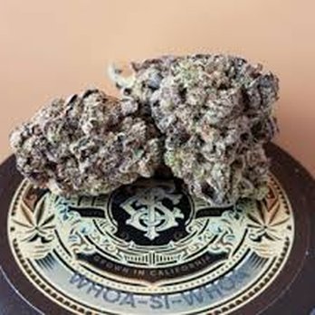 BayLeaves - Cannabis Dispensaries Near Me BayLeaves - Cannabis Dispensaries Near Me