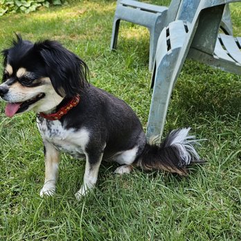 Bark 'N' Bean - Pet Groomers Near Me - Annapolis, Maryland