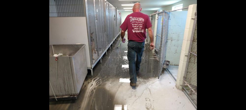 Slide of Coe's Drain Cleaning Specialists