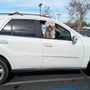 Photo of Ramona Automotive