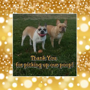 Poop Police - Niko & Tesla love Poop Police! - Pet Waste Removal Near Me Poop Police - Niko & Tesla love Poop Police! - Pet Waste Removal Near Me