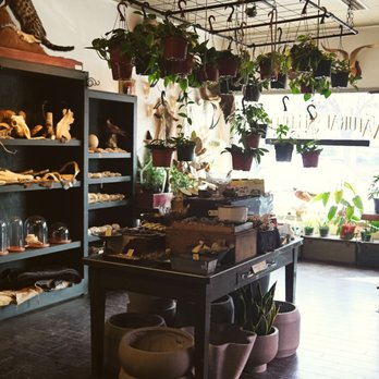 Natural Selection - Such an amazing atmosphere in here. - Taxidermy Near Me - Reno, Nevada