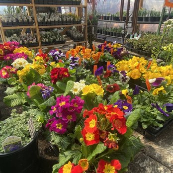 Rehm S Nursery And Garden Center