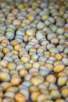 Andy's Orchard by null