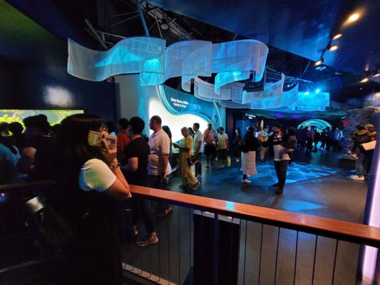 Singapore Oceanarium by null