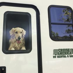Cruise America - Dog
