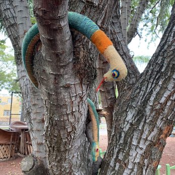 La Cabaña - Snake in tree - Mexican Near Me - Chapala, JAL