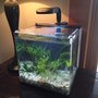 Photo of Claremont Pet & Aquarium Center