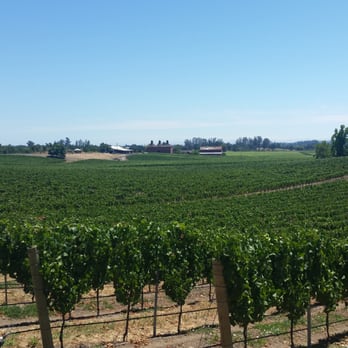 Sonoma-Cutrer Vineyards - Never ending rows of grapes on rolling hills. Don't miss this informative tour. - Wineries Near Me - Windsor, California Sonoma-Cutrer Vineyards - Never ending rows of grapes on rolling hills. Don't miss this informative tour. - Wineries Near Me - Windsor, California