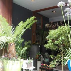Groengaard