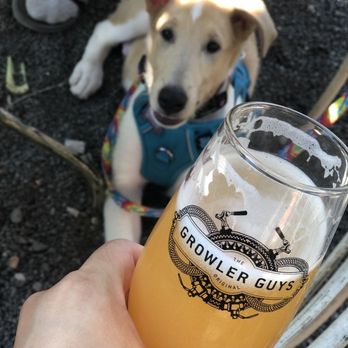 The Growler Guys - Beer Gardens Near Me - Seattle, Washington The Growler Guys - Beer Gardens Near Me - Seattle, Washington