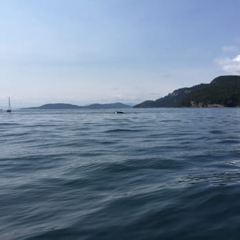 Outer Island Expeditions - Fishing Near Me - Eastsound, Washington