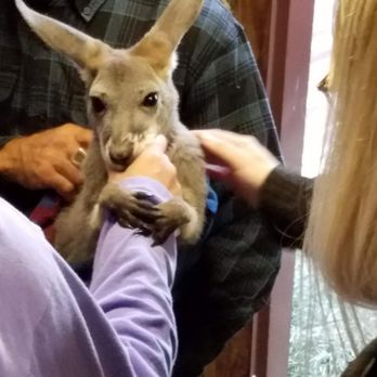 Fall City Wallaby Ranch - Ranches Near Me - Fall City, Washington