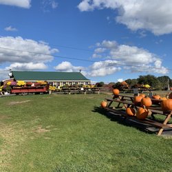 Dame Farm & Orchard - Pumpkins