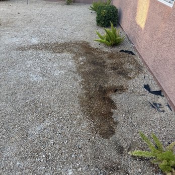 Rabbits Lawn Maintenance - Before - Lawn Services Near Me Rabbits Lawn Maintenance - Before - Lawn Services Near Me
