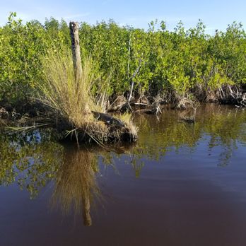 Speedy's Airboats - Boating Near Me - Everglades, Florida Speedy's Airboats - Boating Near Me - Everglades, Florida