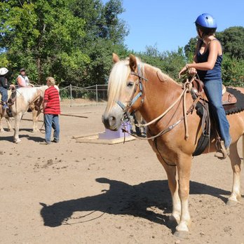 California Haflingers - Horseback Riding Near Me - Redding, California