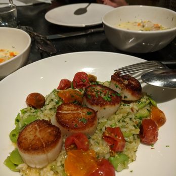 Tratto - This scallop risotto special was particularly delicious - Italian Near Me - San Francisco, California Tratto - This scallop risotto special was particularly delicious - Italian Near Me - San Francisco, California