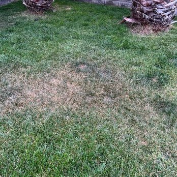 Fredy's Landscaping & Gardening - Landscaping Near Me Fredy's Landscaping & Gardening - Landscaping Near Me