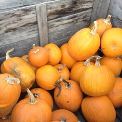 Stein's Farm Market
