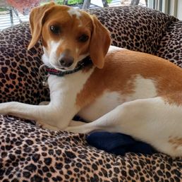 Thanks for the great nail trim! Thanks for the great nail trim!