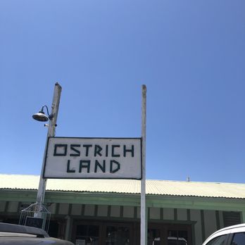 Ostrichland USA - Attraction Farms Near Me - Solvang, California Ostrichland USA - Attraction Farms Near Me - Solvang, California