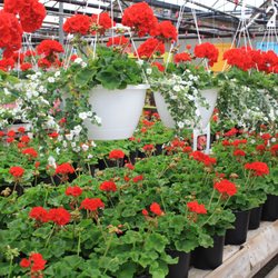 Atlantic Gardens Florist