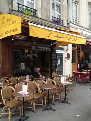 L'Elephant Du Nil by null