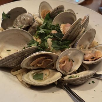 Antonio's Trattoria - Linguine with White Clam Sauce - Italian Near Me - Bronx, New York