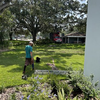 Dave's Professional Tree Services - Tree Services Near Me Dave's Professional Tree Services - Tree Services Near Me