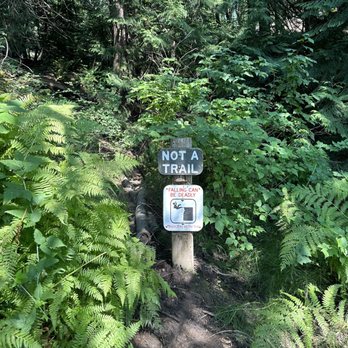 Larrabee State Park - Don't cut the trail please! - Parks Near Me - Bellingham, Washington Larrabee State Park - Don't cut the trail please! - Parks Near Me - Bellingham, Washington