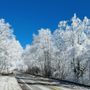 Photo of Cherokee National Forest