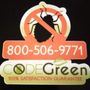 Photo of Code Green Pest Solutions