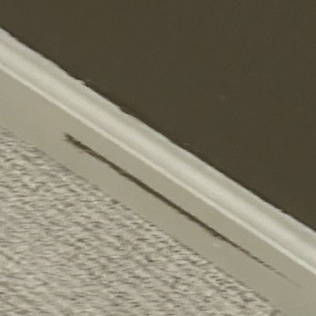 Level Up Home Solutions - Painters Near Me Level Up Home Solutions - Painters Near Me