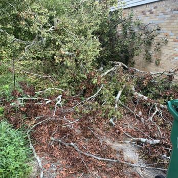Yard Dogs Tree Works - This was the house that was effected by the storm damage that needed the clean up. - Tree Services Near Me