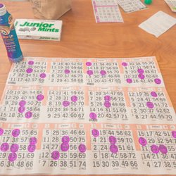 King's Bingo