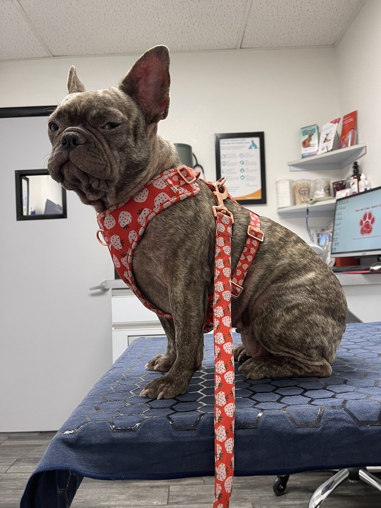 PAWS & CLAWS ANIMAL CARE Updated August 2024 28 Reviews 2715