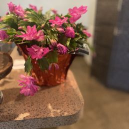 Decor