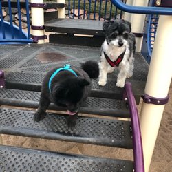 Squires Park